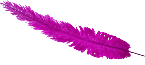 tickle feather