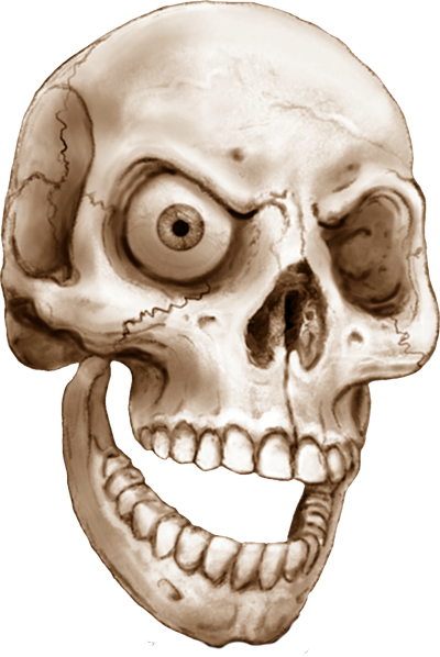 sepia skull