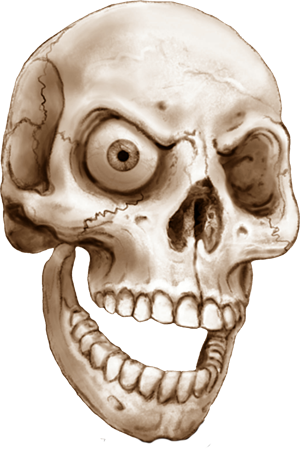 Sepia Skull