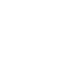 TikTok icon