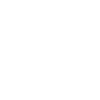 pinterest icon